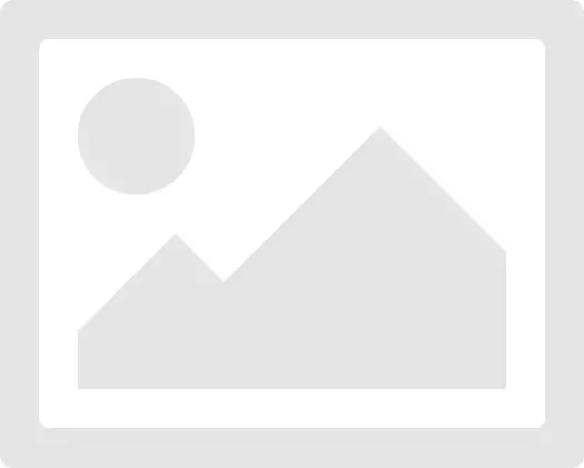 محصولات بلیتس